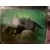Naruto Shippuden - Hokage trading card collection (2022) - Kakashi