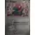 Porygon Reverse