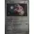 Faille Paradoxe - PARFR - Spinda Reverse