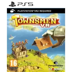 Townsmen VR