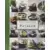 Livres de Cuisine - Petit Larousse des recettes aux légumes du potager