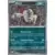 Paradox Rift - PAREN - Absol Reverse
