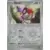Paradox Rift - PAREN - Aipom Reverse