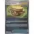 Paradox Rift - PAREN - Earthen Vessel Reverse