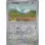 Swablu Reverse