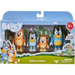 Bluey & Family