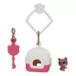 Chat dans maison