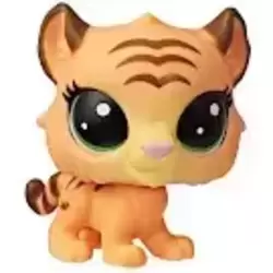 LPS 03-111