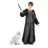 Harry Potter & Hedwig