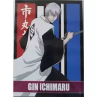 Gin Ichimaru Bio Card