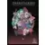 Beaux Livres Manga/Jeux Vidéos - Darkstalkers: Official Complete Works