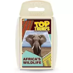 Africa's Wildlife