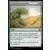 Les Cavernes oubliées d\'Ixalan - Commander Deck - Croissance luxuriante