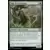 Les Cavernes oubliées d\'Ixalan - Commander Deck - Sage de l\'évolution