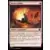 Torche solaire
