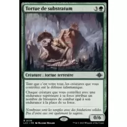 Tortue de substratum