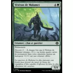 Vétéran de Malamet