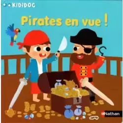 Pirates en vue !