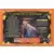 Doctor Who - 2005 - Coffret 2023 - 60th anniversaire - Saison 1 à13