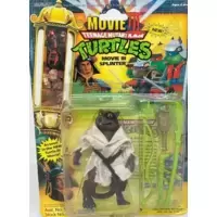 Splinter