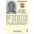 Hoops - 1989/1990 NBA - Rodney McCray