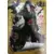 Livre 17 - Itachi Uchiwa