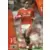 Paul Ince