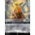 L\'Ascension des Floodborn - Chapitre 2 - Hercule - Héros divin