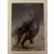 Image n°15