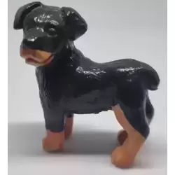 Ben