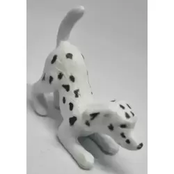Buddy