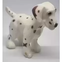 Dotty