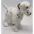 Dotty