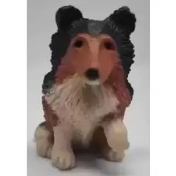 Mo