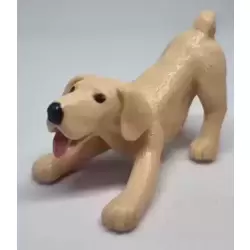 Oscar