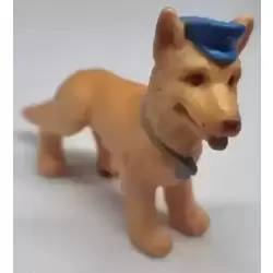 Rolo
