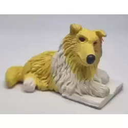 Tammy