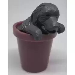 Volcano/Toby