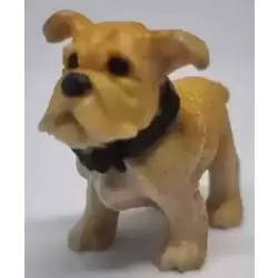 Winston