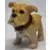 Winston