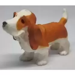 Zaney/Scooter
