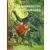 Les chasseurs de gorilles