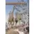 Jules Verne et ses voyages - L\'Etoile du Sud