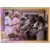 Limited Run Cards Série 2 - Night Trap