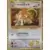 Blastoise & Suicune ex Deck - Lt. Surge\'s Raticate