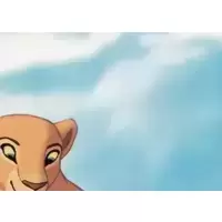 All The Light Touches ... 1