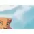 All The Light Touches ... 1