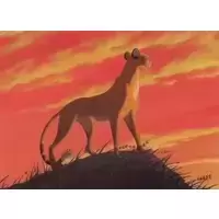 Animals and birds stir