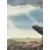 Skybox - Lion King - Presentation of Simba 2