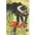 Tome 2